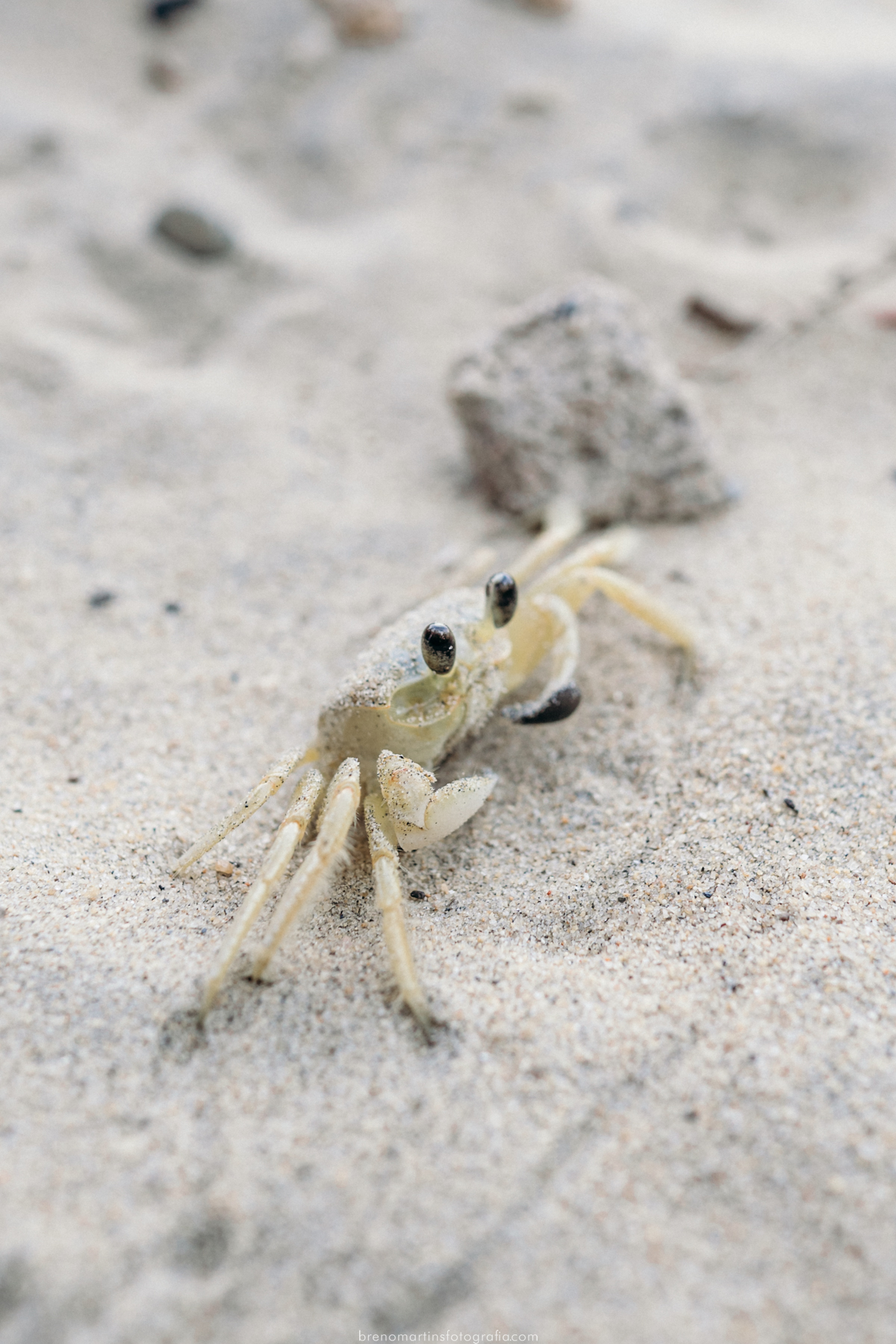 familia-almeida-sessao-de-fotos-em-iilhabela-sao-paulo-fotografo-em-ilhabela-brenomartinsfoto