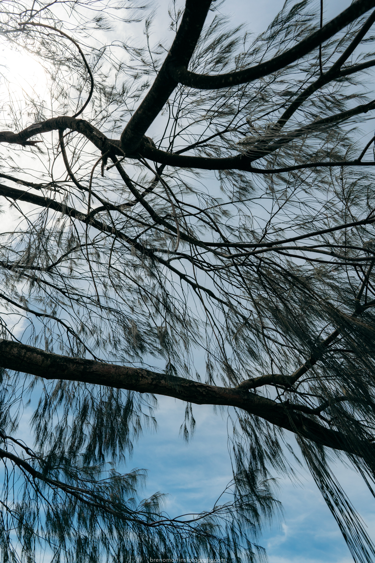 julia-e-koji-pre-wedding-na-praia-pantano-do-sul-breno-martins-fotografia-florianopolis-casar-em-floripa-pre-wedding 