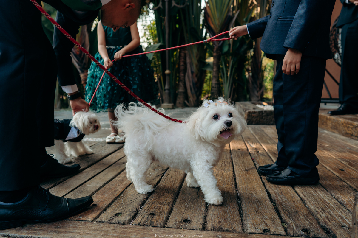paola-e-silvio-casamento-no-espaco-ravena-garden-mairipora-sp-vestido-de-noiva-pet-no-casamento-brenomartinsfoto-breno-martins-fotografia 