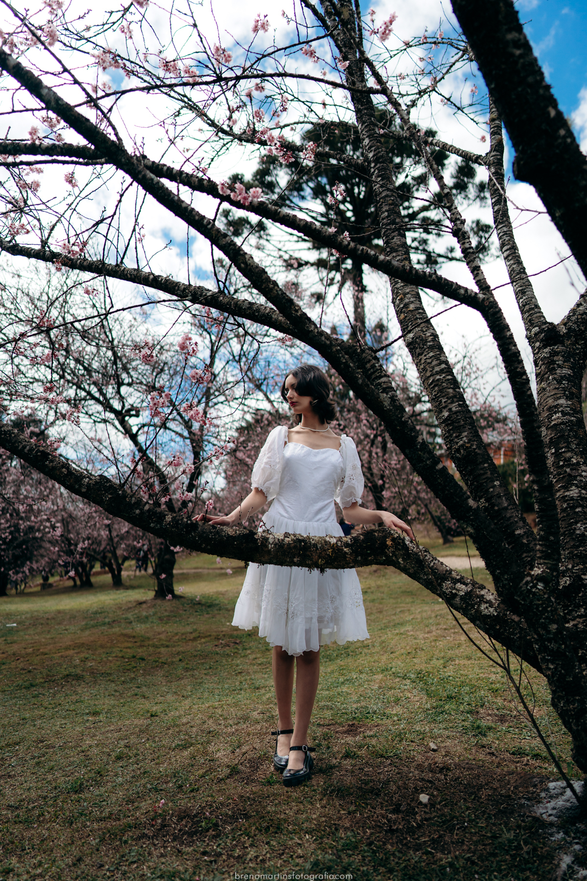 stefane-e-esau-pre-wedding-no-parque-das-cerejeiras-em-campos-do-jordao-sp-brenomartinsfoto-breno-martins-fotografia