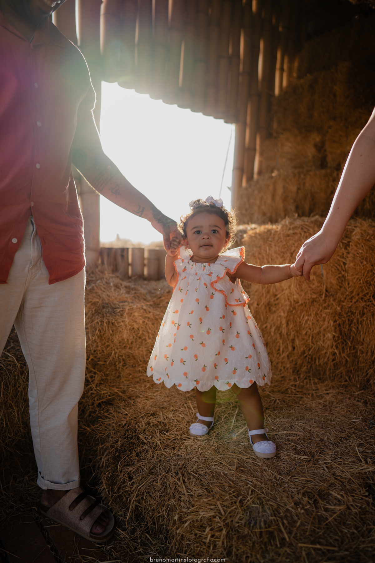 familia-gonzales-rosa-sessao-familia-em-holambra-fotografo-nas-cidades-das-flores-breno-martins-fotografia-brenomartinsfoto