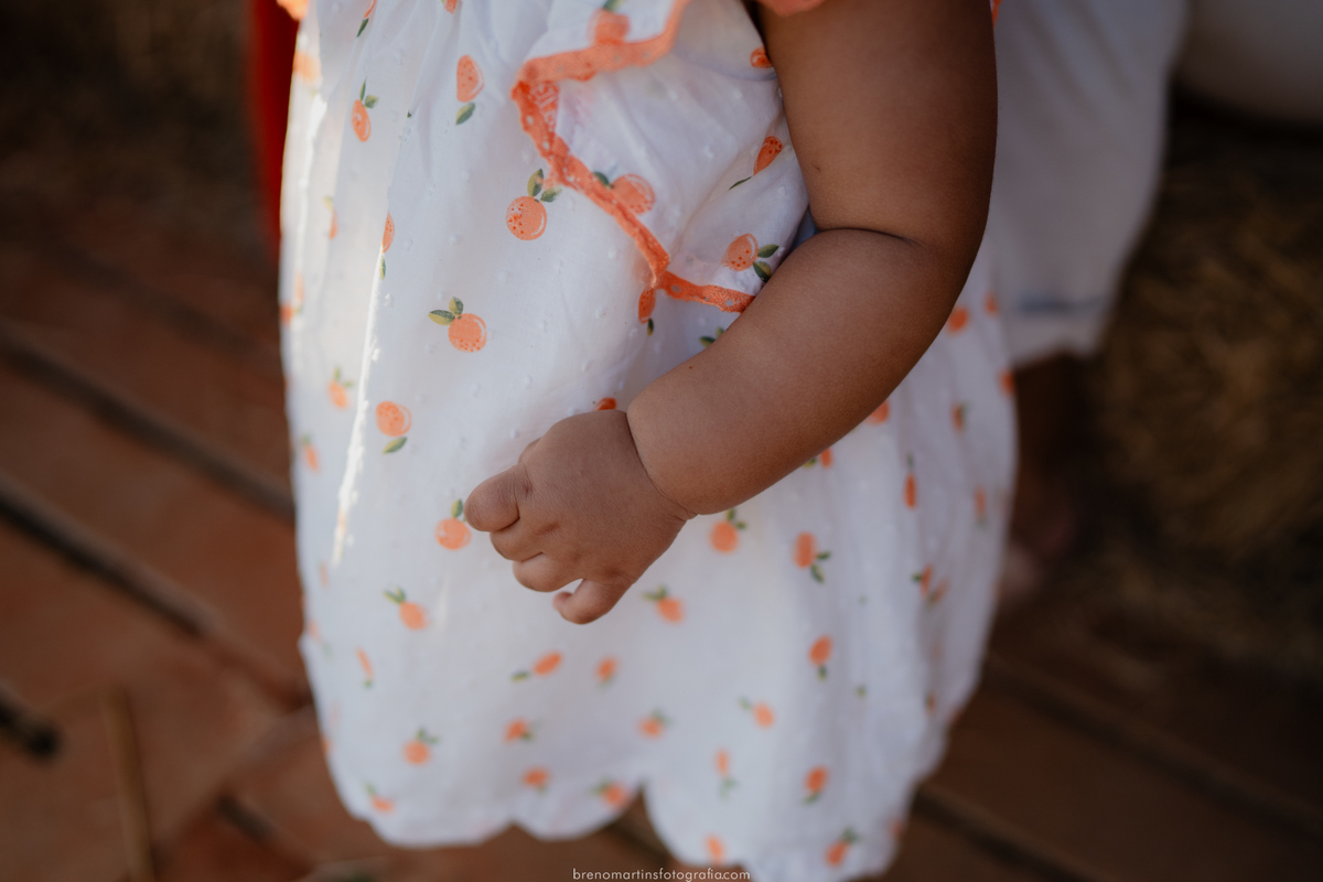 familia-gonzales-rosa-sessao-familia-em-holambra-fotografo-nas-cidades-das-flores-breno-martins-fotografia-brenomartinsfoto