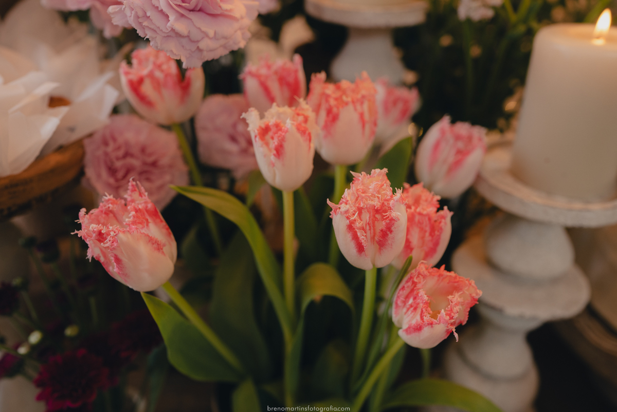 wanessa-e-caio-casamento-na-casinha-quintal-brenomartinsfoto-breno-martins-fotografia-fotografo-na-casinha-quintal-casar-em-sp-vestido-de-noiva - 