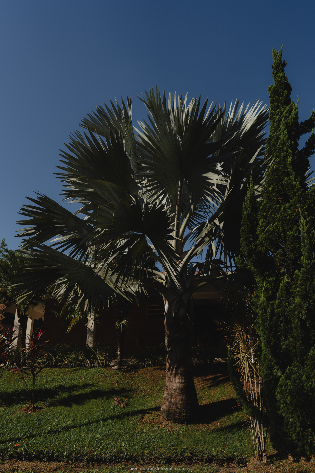 roseane-e-jonathan-casamento-no-chateau-de-lumiere-em-elias-fausto-brenomartinsfoto-alameda-dasflores-120-elias-fausto 