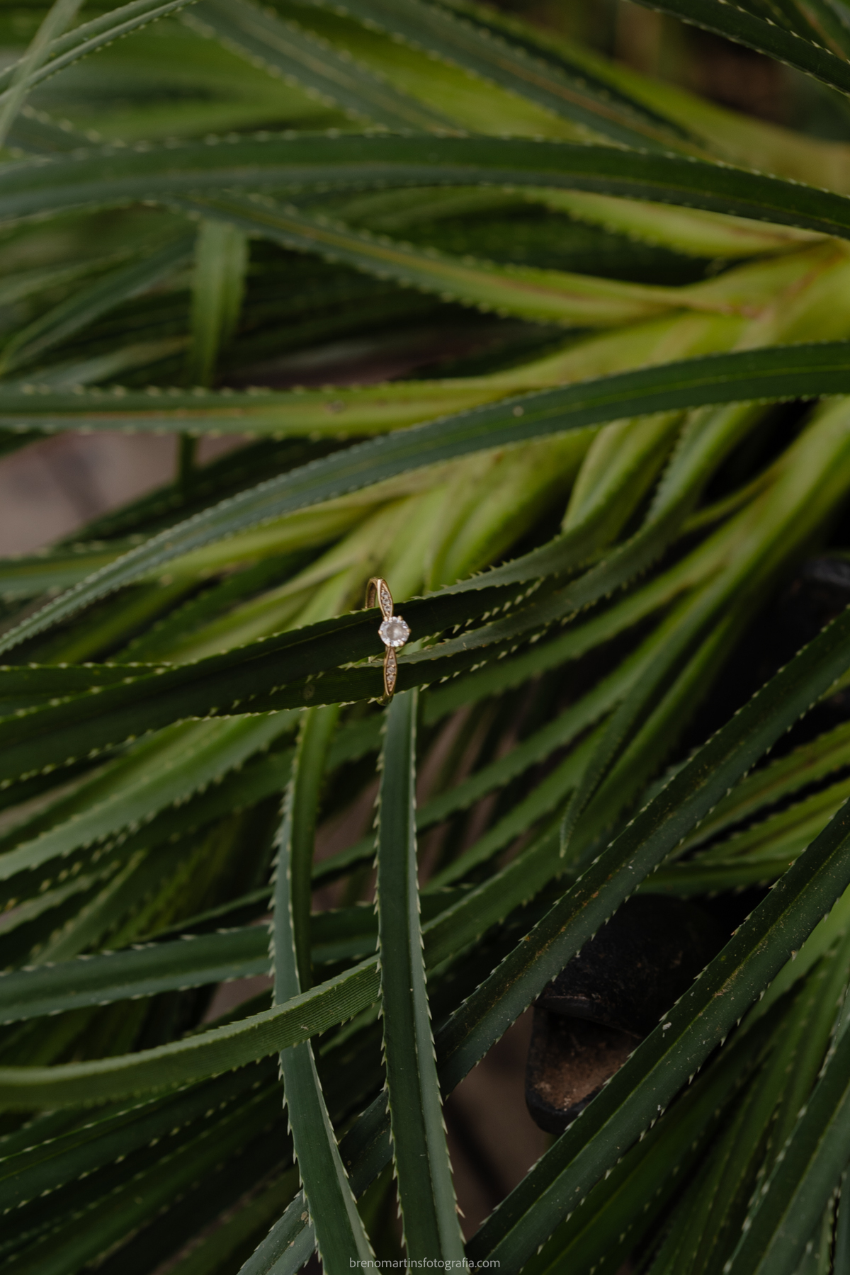 andiara-e-lucas-casamento-no-terra-nobre-eventos-monte-mor-brenomartinsfoto-terra-nobre 