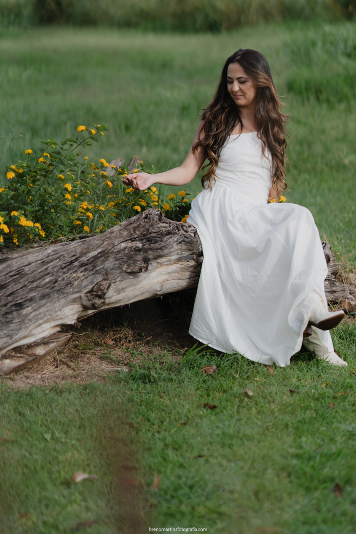 waytfa-e-leandro-pre-wedding-em-holambra-cidade-das-flores-@brenomartinsfoto-sitio-essencia-do-campo-holambra - 