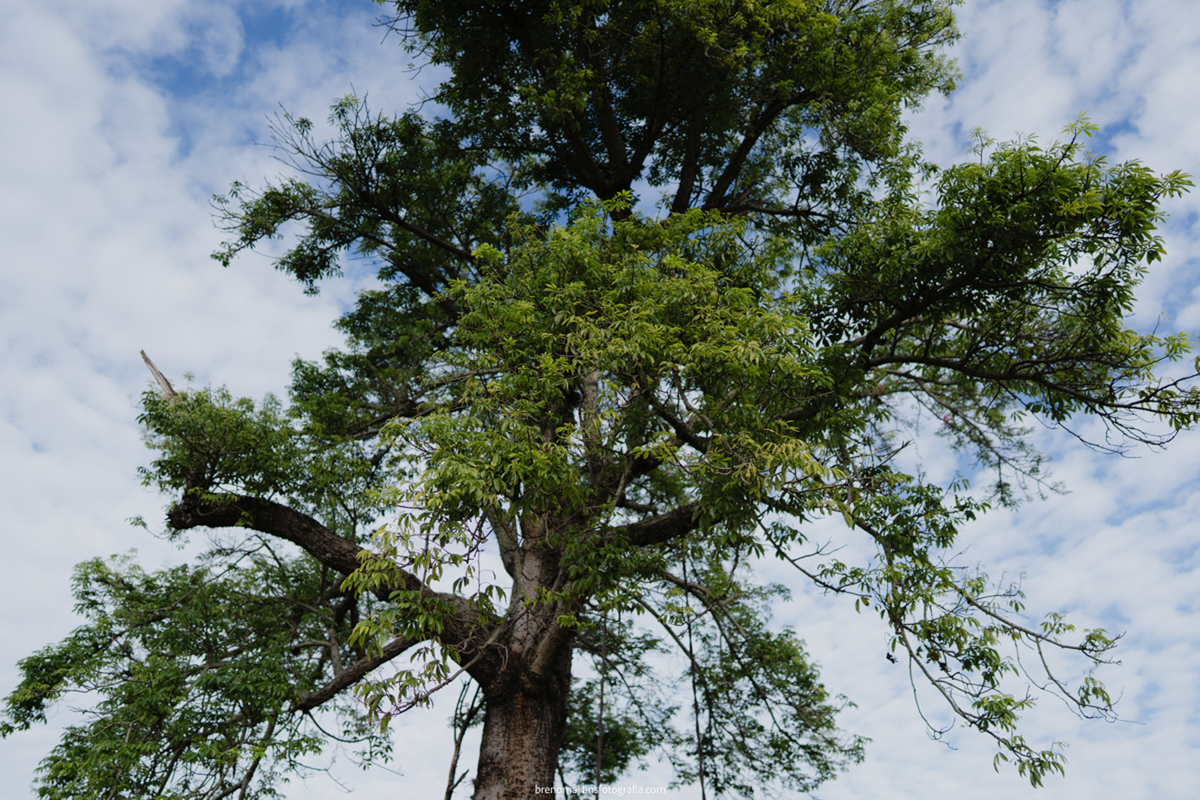 waytfa-e-leandro-pre-wedding-em-holambra-cidade-das-flores-@brenomartinsfoto-sitio-essencia-do-campo-holambra - 