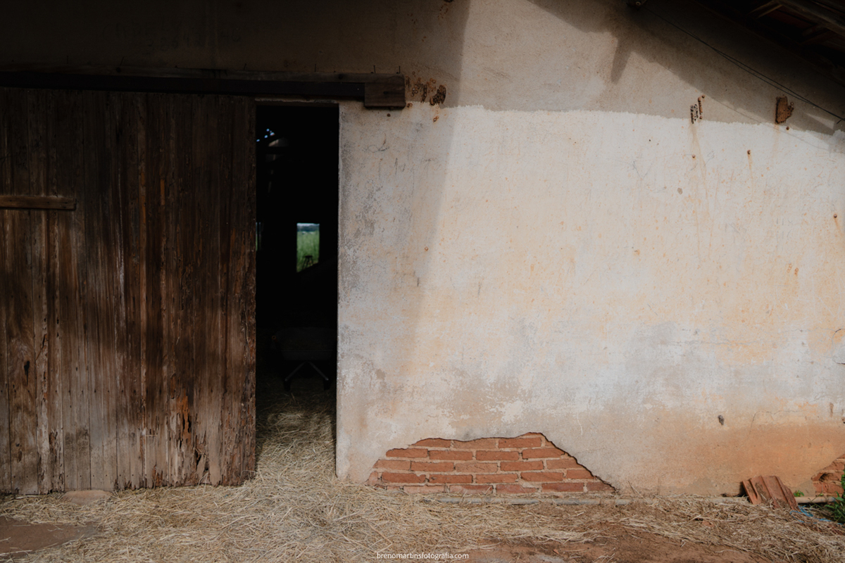 waytfa-e-leandro-pre-wedding-em-holambra-cidade-das-flores-@brenomartinsfoto-sitio-essencia-do-campo-holambra - 