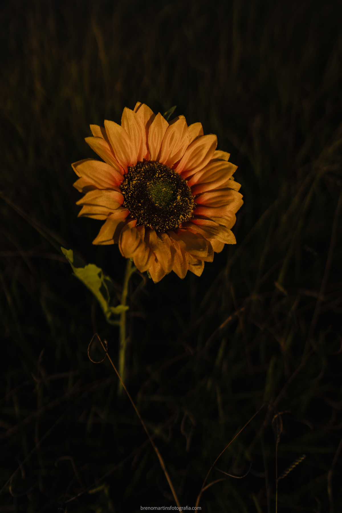 thais-e-wilson-pre-wedding-no-morro-do-capuava-pirapora-do-bom-jesus-pre-wedding-nas-montanhas-brenomartinsfoto-brenomartinsfotografia