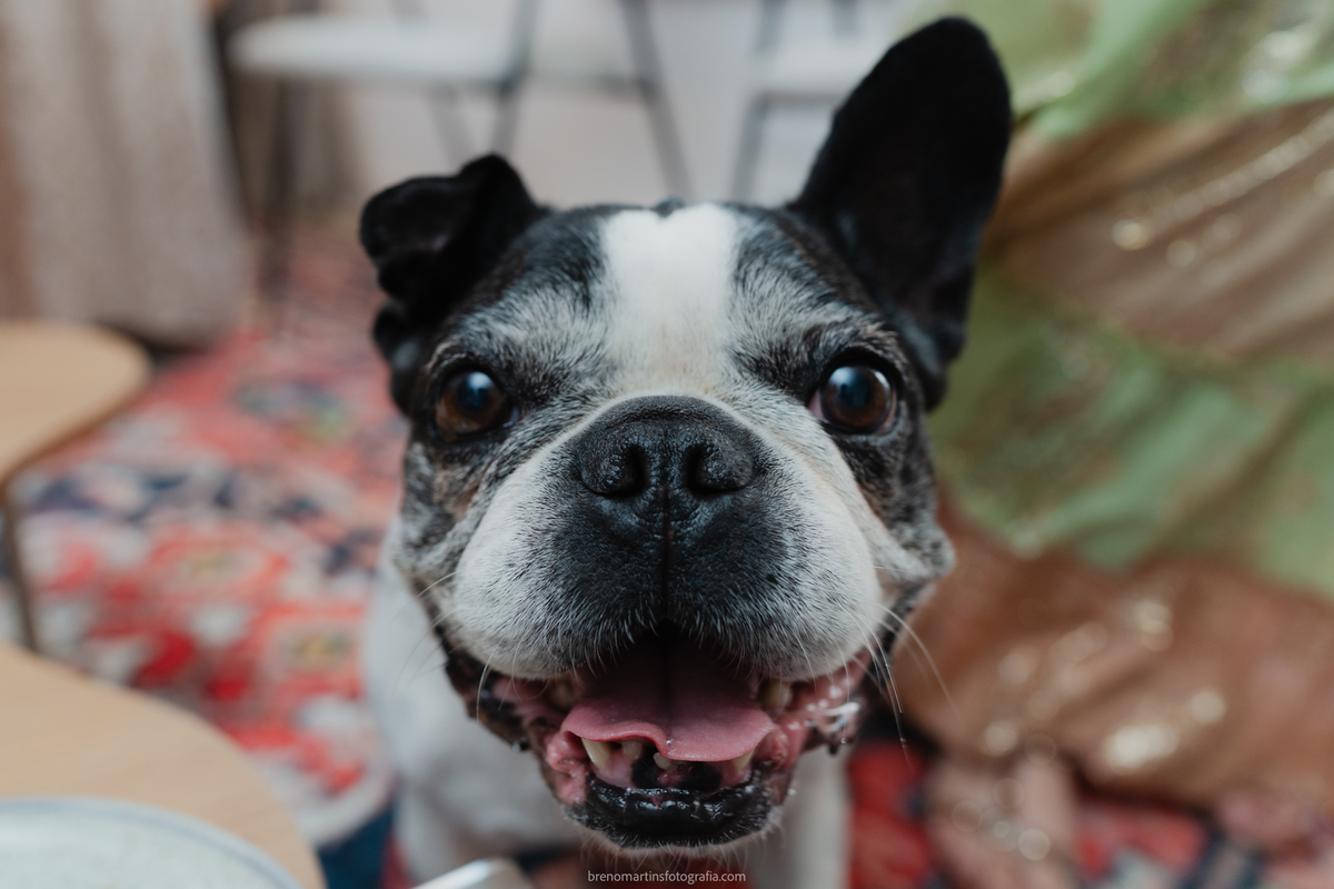 fabiana-e-neto-casamento-@brenomartinsfoto