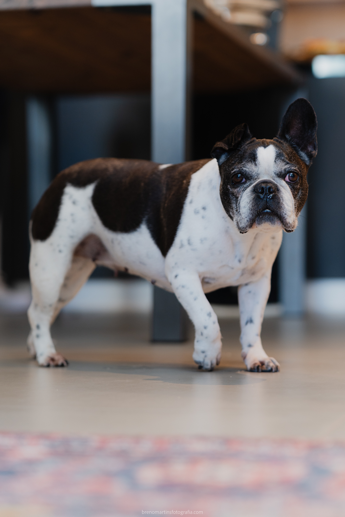 fabiana-e-neto-casamento-@brenomartinsfoto