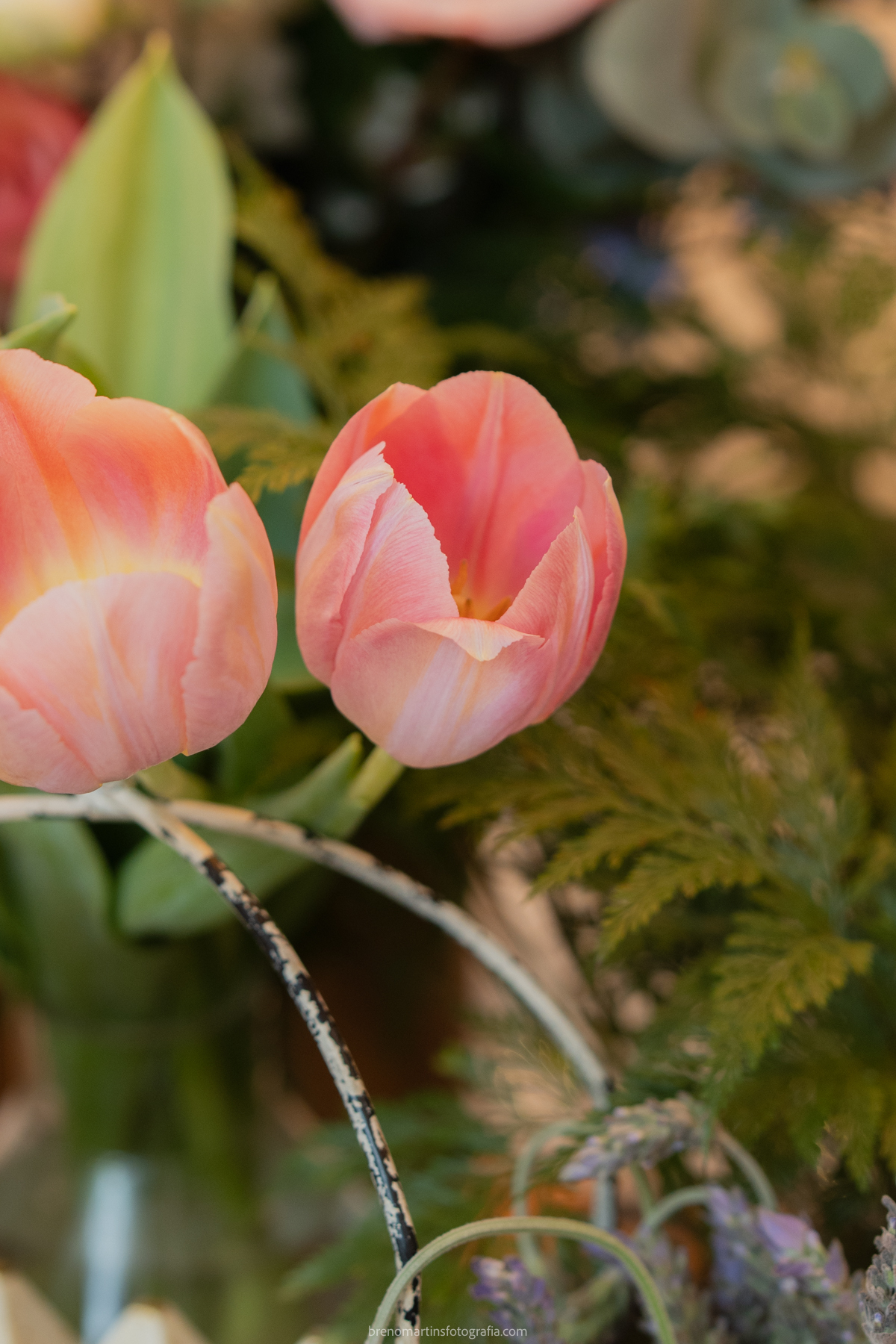julia-e-irineu-casamento-na-casinha-quintal-@brenomartinsfoto