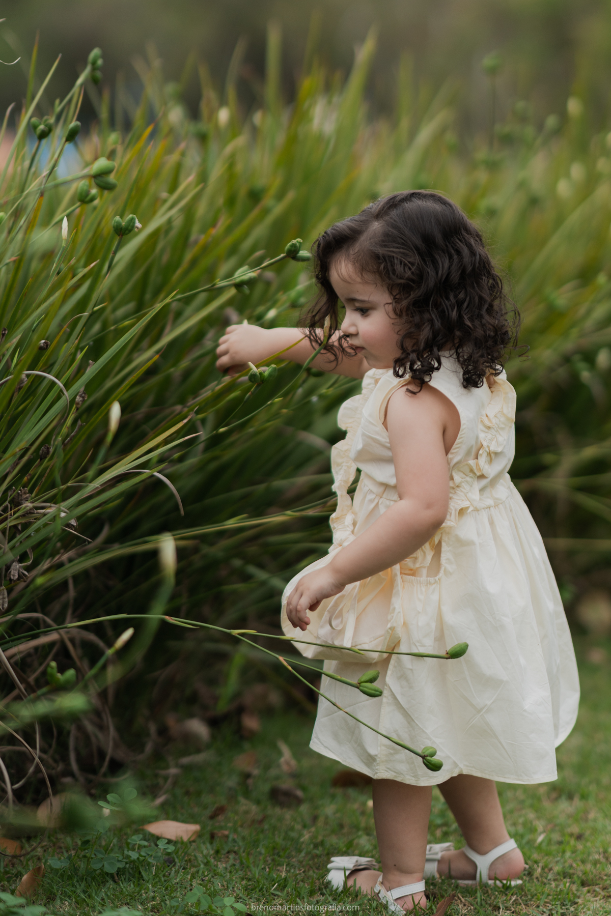 familia-moreira-lopes-@brenomartinsfoto- 