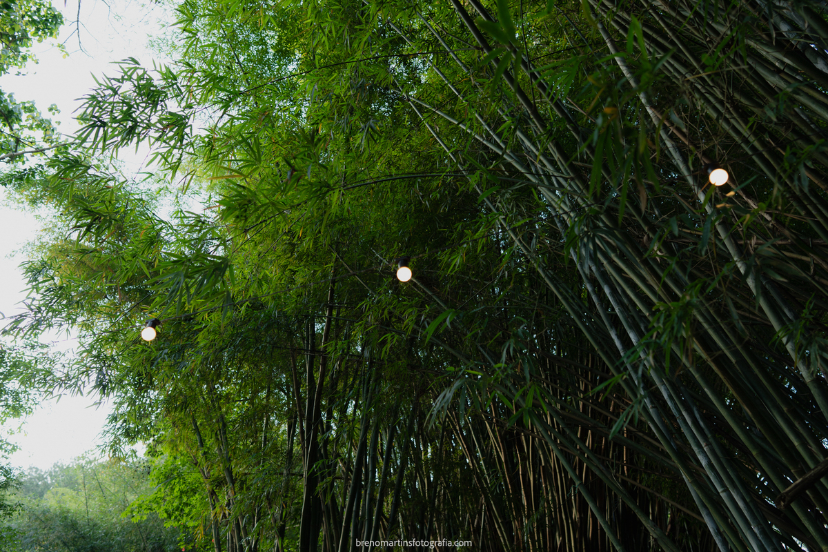 Camila & Marcos | Lindo Casamento no Canto das Águas - Mairiporã - SP