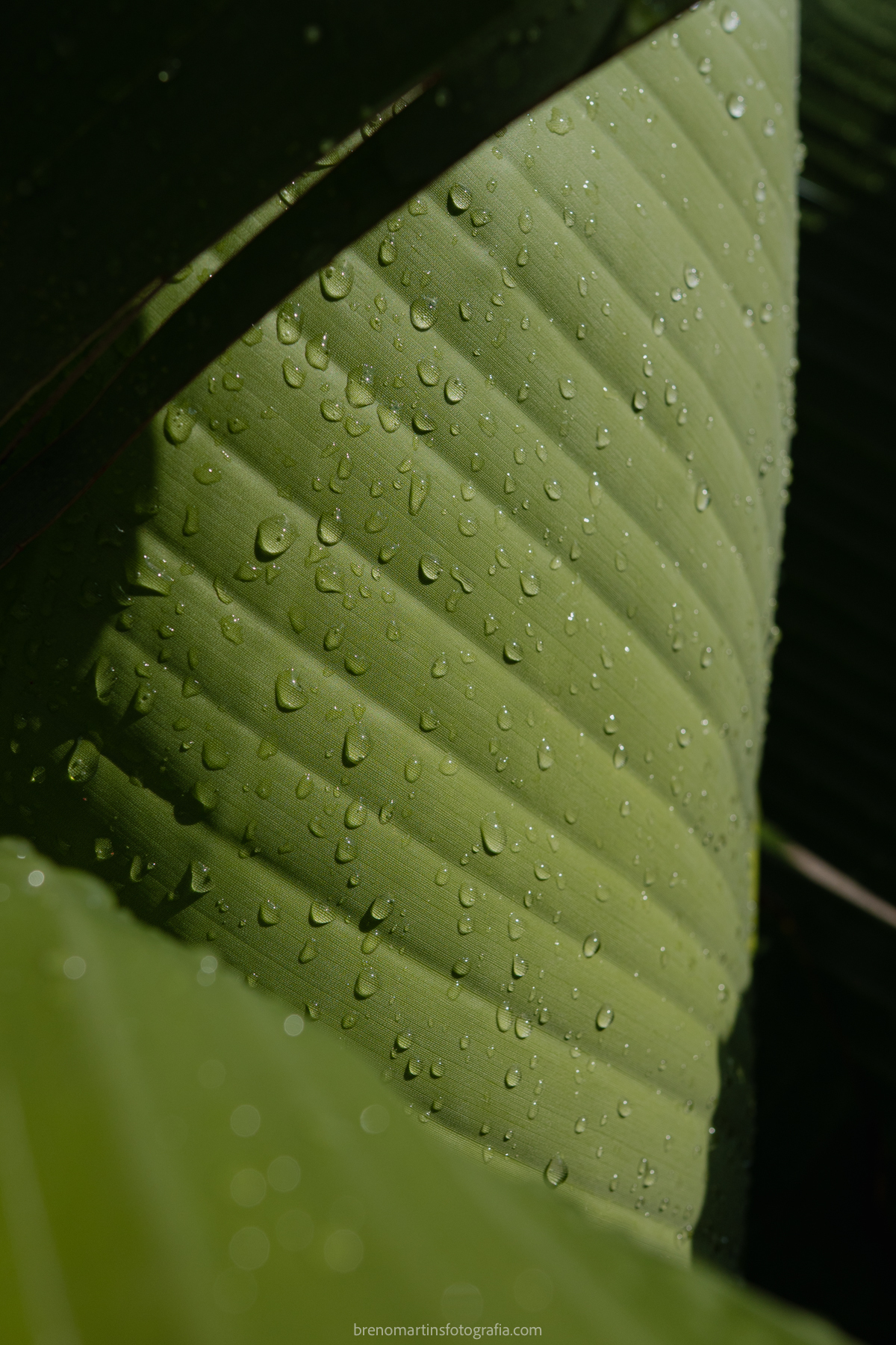 gisela-e-cesar-casamento-na-lagoa-santa-rita-brenomartinsfoto-