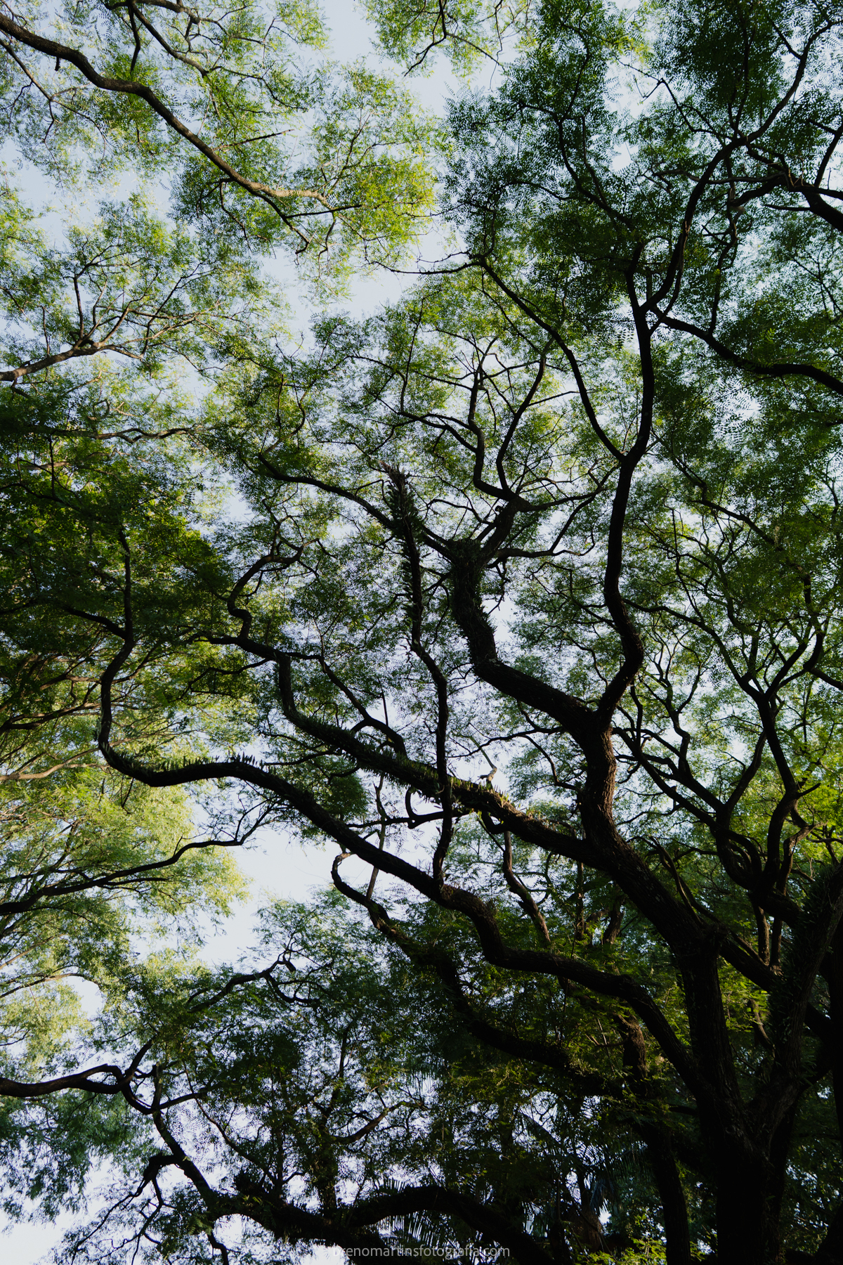 rafaela-eduardo-casamento-casa-magna-sorocaba-@brenomartinsfoto