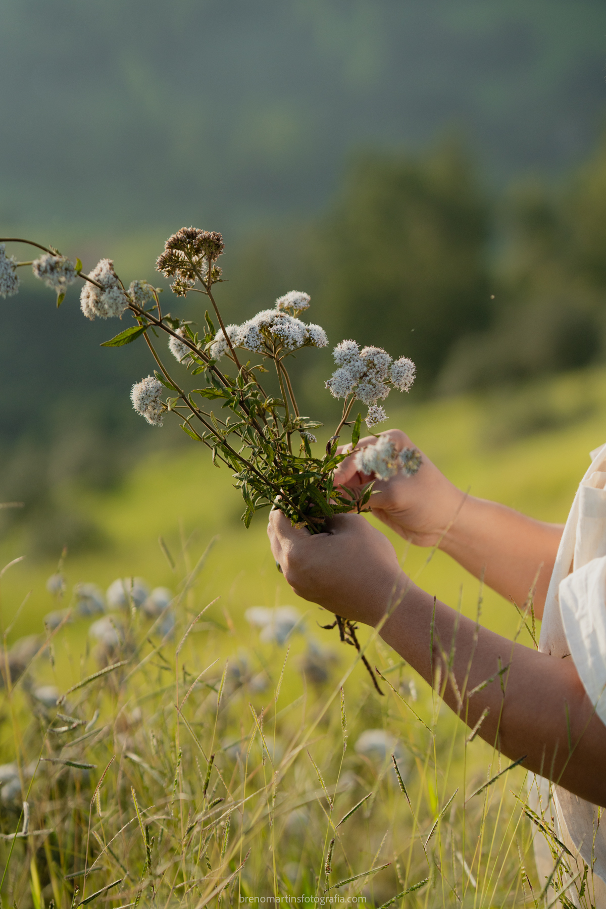 larissa-e-nicholas-pre-wedding-no-morro-do-capuava-pre-wedding-nas-montanhas-nascer-do-sol-brenomartinsfoto