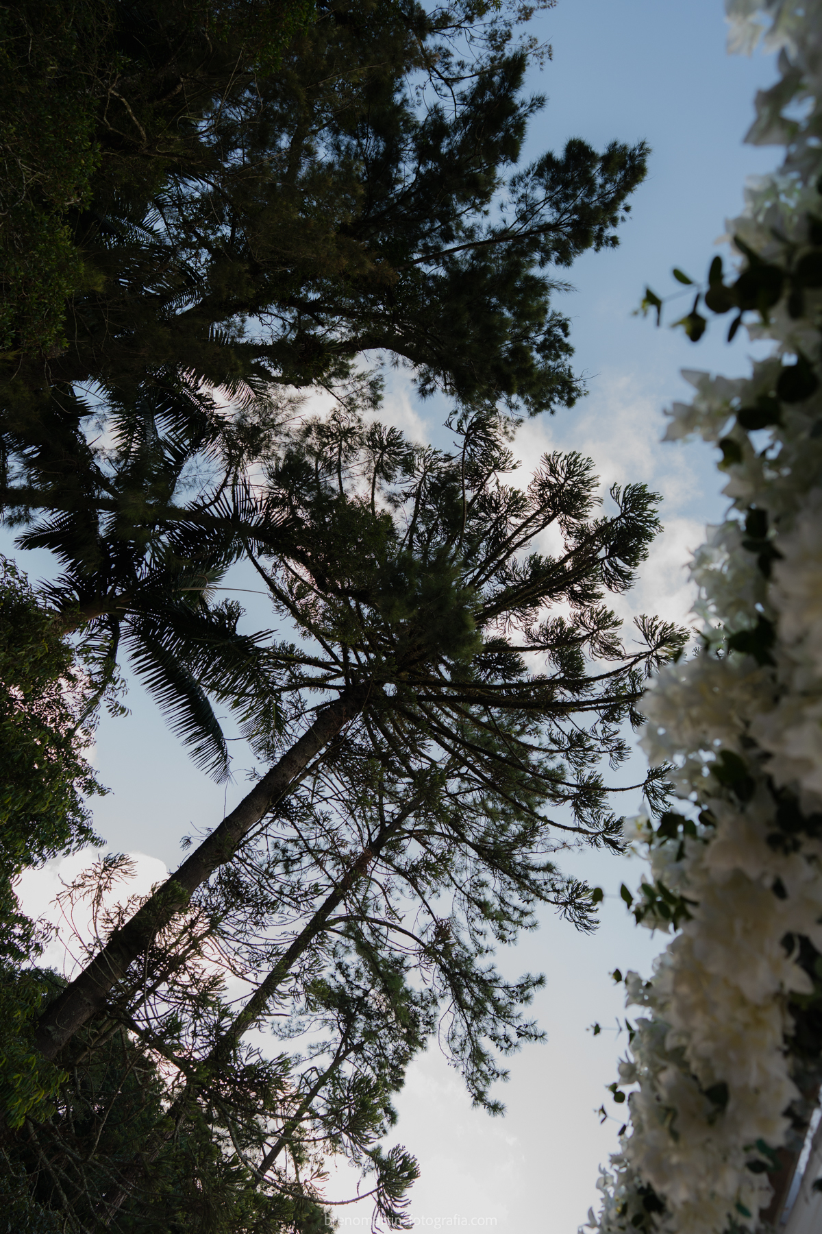 camily-e-brayan-casamento-no-recanto-santa-rita-vestido-de-noiva-making-of-noiva-janela-brenomartinsfoto