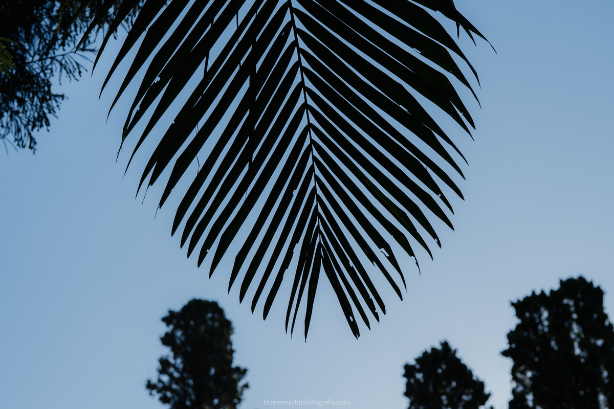 camily-e-brayan-casamento-no-recanto-santa-rita-vestido-de-noiva-making-of-noiva-janela-brenomartinsfoto