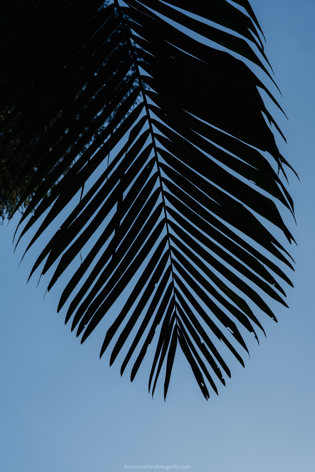 camily-e-brayan-casamento-no-recanto-santa-rita-vestido-de-noiva-making-of-noiva-janela-brenomartinsfoto