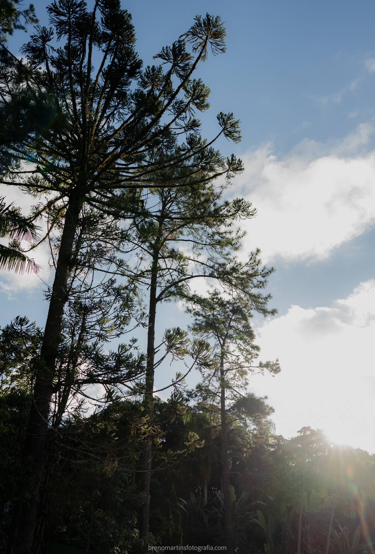 camily-e-brayan-casamento-no-recanto-santa-rita-vestido-de-noiva-making-of-noiva-janela-brenomartinsfoto