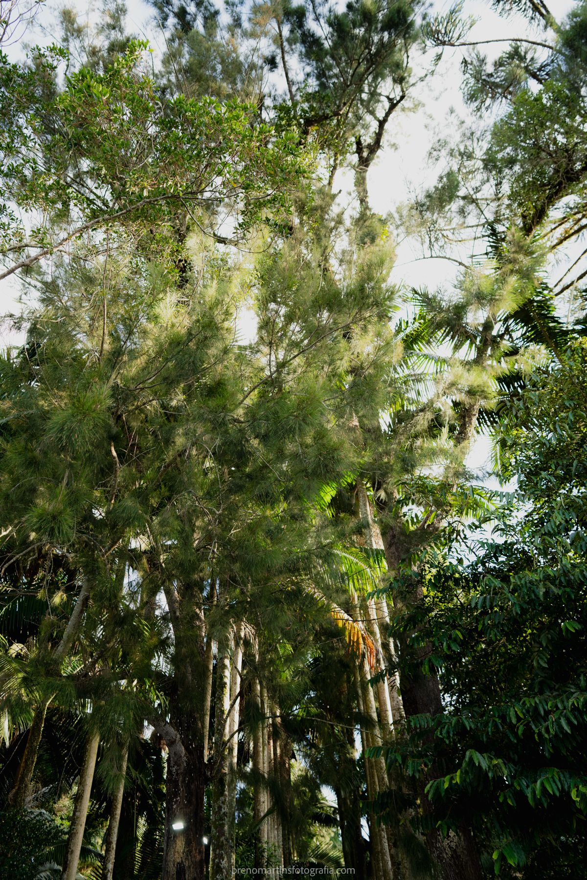 camily-e-brayan-casamento-no-recanto-santa-rita-vestido-de-noiva-making-of-noiva-janela-brenomartinsfoto