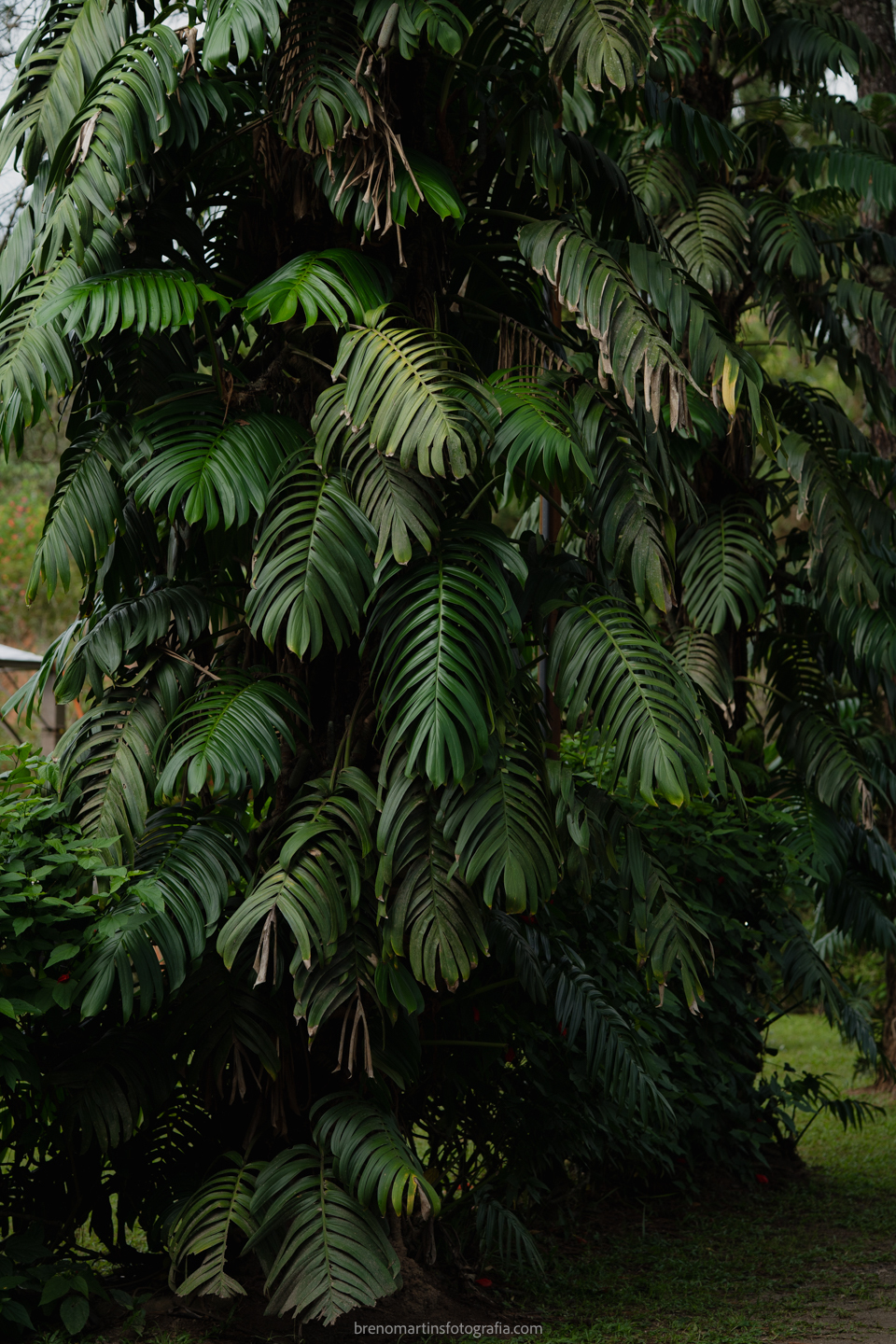 larissa-gustavo-casamento-no-bassi-eventos-brenomartinsfoto