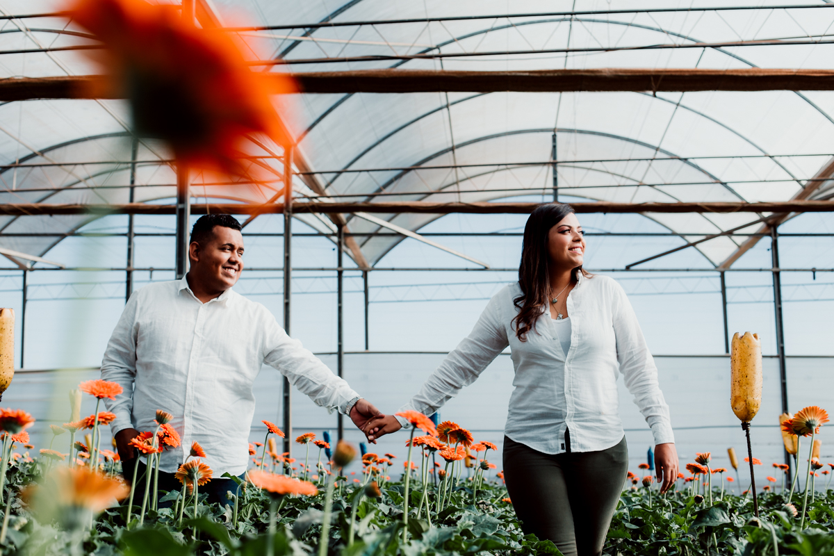 rebeca-e-thomas--ensaio-pre-wedding-em-holambra-cidade-das-flores-dicas-de-fotografia-em-holambra-ensaio-na-cidade_das-flores_breno-martins-fotografia