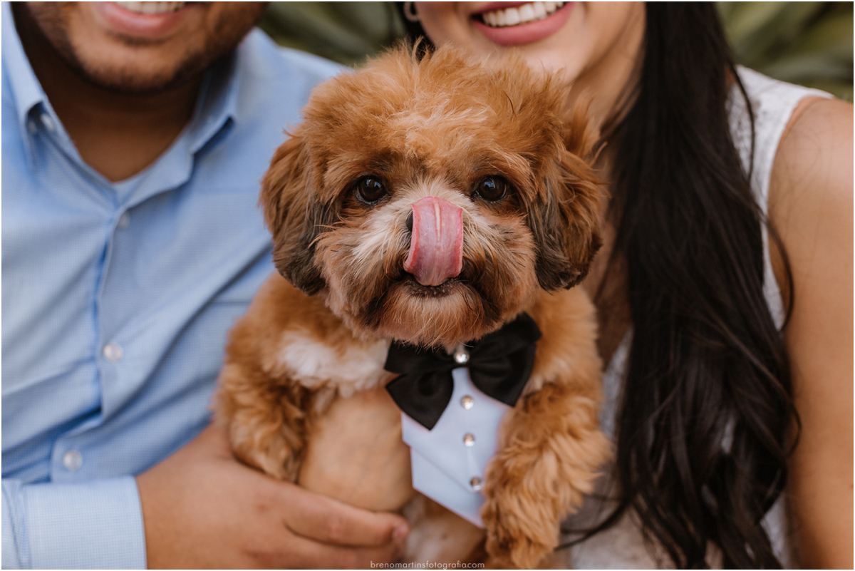 luciana-e-paulo-casamento-no-cartorio-de-campinas-cambui-fotografo-em-campinas-breno-martins-fotografia-@brenomartinsfotografia