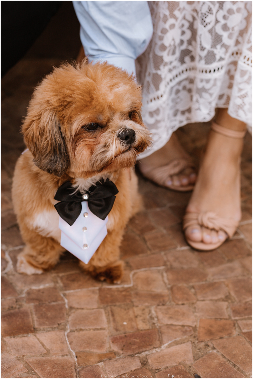 luciana-e-paulo-casamento-no-cartorio-de-campinas-cambui-fotografo-em-campinas-breno-martins-fotografia-@brenomartinsfotografia