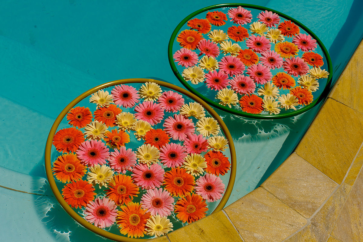 Casamento na Chacará