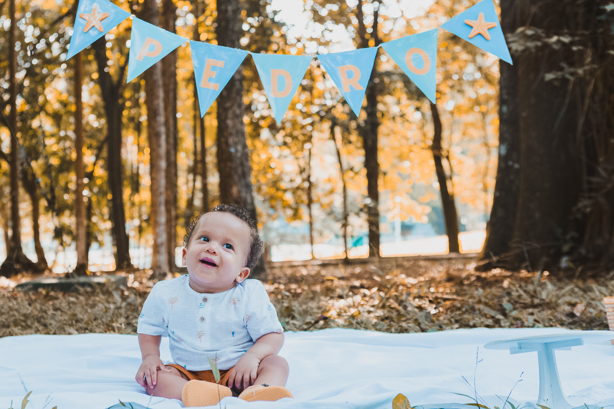 SMASH THE CAKE,  HORTO FLORESTAL, PARQUE DA CANTAREIRA, ZONA NORTE, SÃO PAILO, FOTOGRAFIA DE FAMÍLIA, ENSAIO FOTOGRAFICO, SESSÃO DE FOTOS INFANTIL, FOTOS NO PARQUE