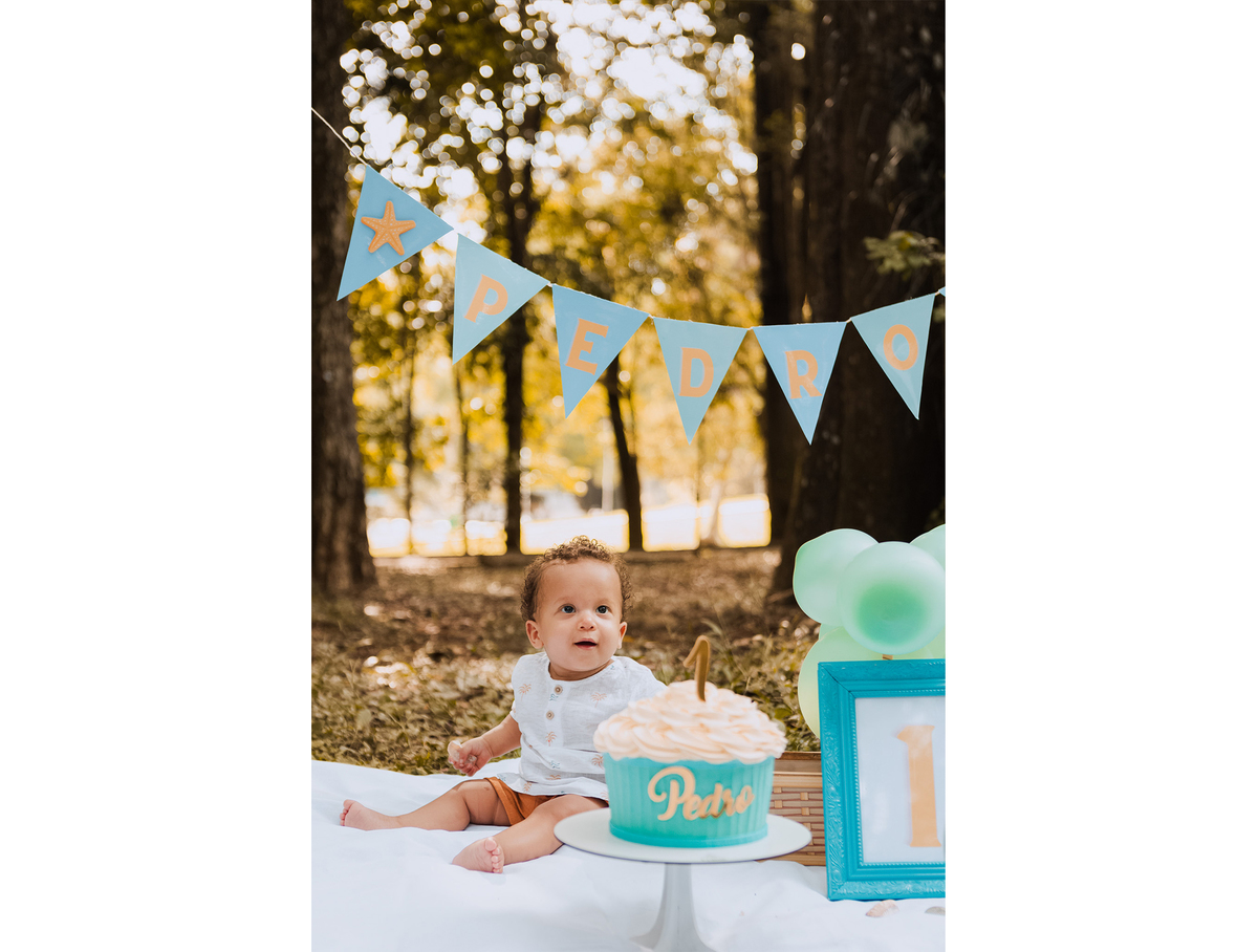 SMASH THE CAKE,  HORTO FLORESTAL, PARQUE DA CANTAREIRA, ZONA NORTE, SÃO PAILO, FOTOGRAFIA DE FAMÍLIA, ENSAIO FOTOGRAFICO, SESSÃO DE FOTOS INFANTIL, FOTOS NO PARQUE