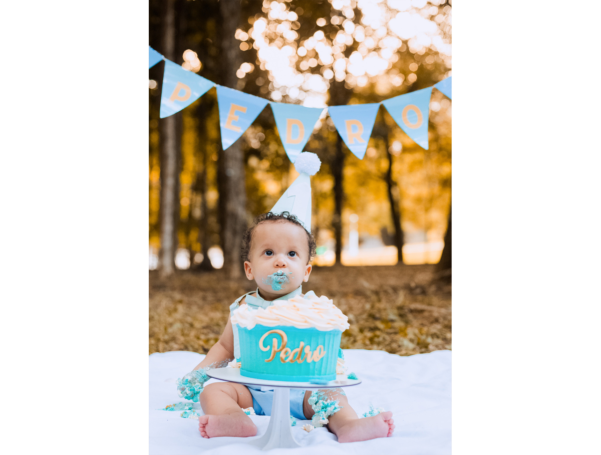 SMASH THE CAKE,  HORTO FLORESTAL, PARQUE DA CANTAREIRA, ZONA NORTE, SÃO PAILO, FOTOGRAFIA DE FAMÍLIA, ENSAIO FOTOGRAFICO, SESSÃO DE FOTOS INFANTIL, FOTOS NO PARQUE, BOLO 