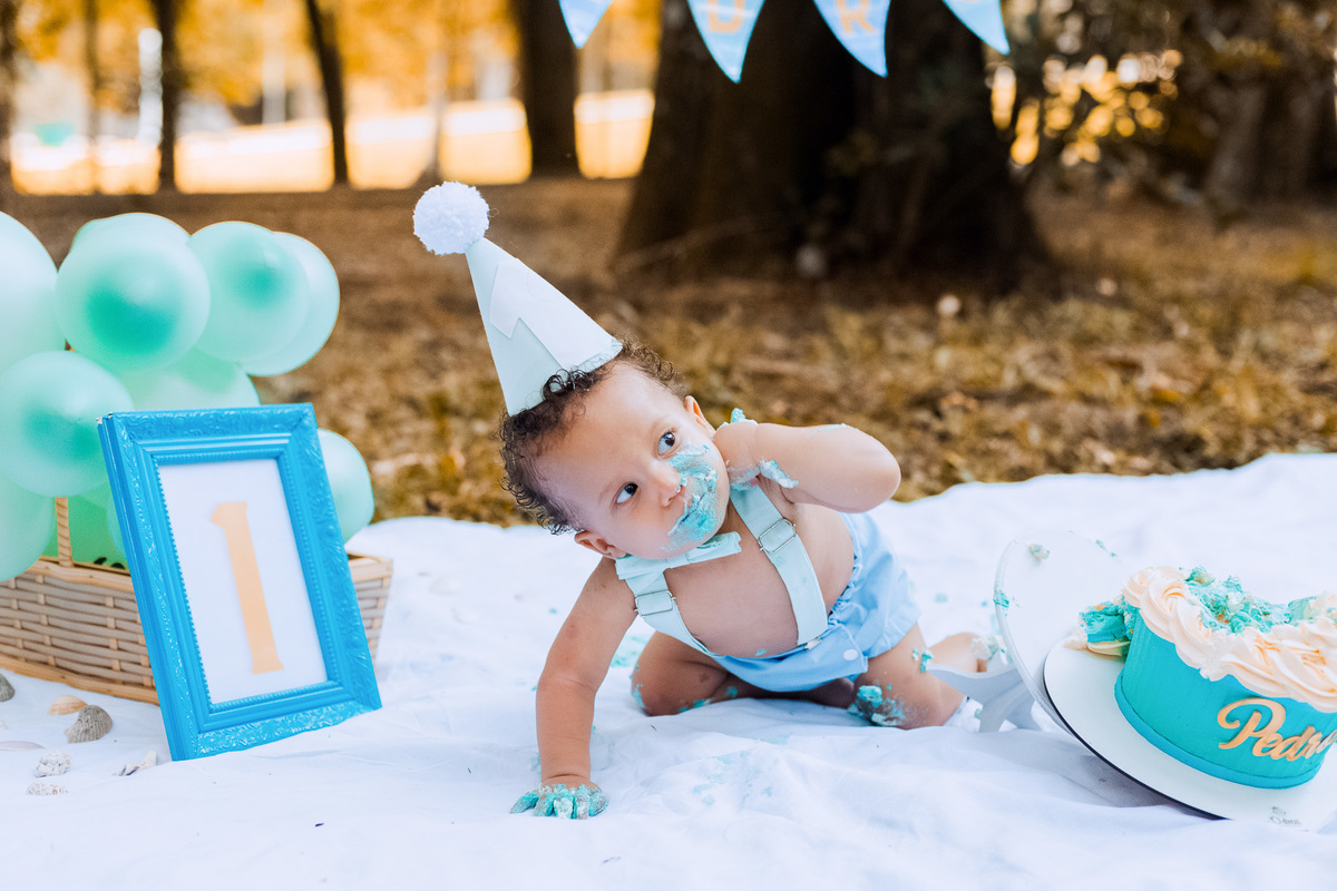 SMASH THE CAKE,  HORTO FLORESTAL, PARQUE DA CANTAREIRA, ZONA NORTE, SÃO PAILO, FOTOGRAFIA DE FAMÍLIA, ENSAIO FOTOGRAFICO, SESSÃO DE FOTOS INFANTIL, FOTOS NO PARQUE, BOLO