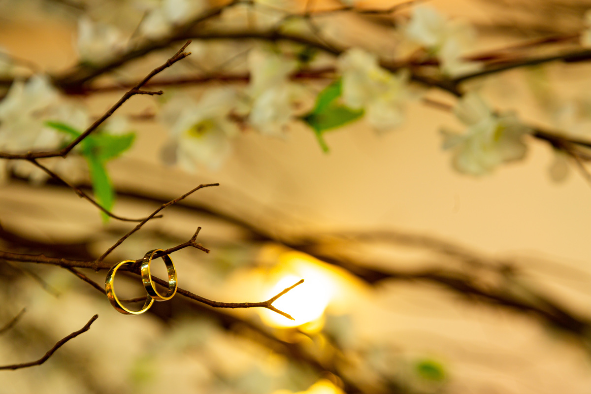 Making of, noiva, noivos, Vestido de noiva, casamento, wedding, festa de casamento, como oranizar um casamento, fotografo profissional, fotografo em suzano, casamento rustico, casamento ao ar livre, casamento no campo, wedding day