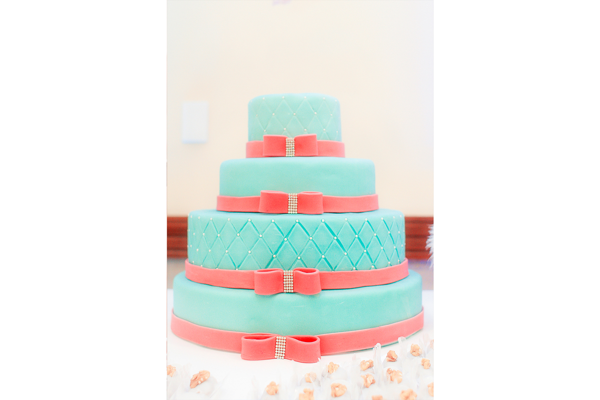 fotografo em suzano, fotografo de aniversario, festa de 15 anos, festa de aniversario 15 anos, fotografo profissional em suzano