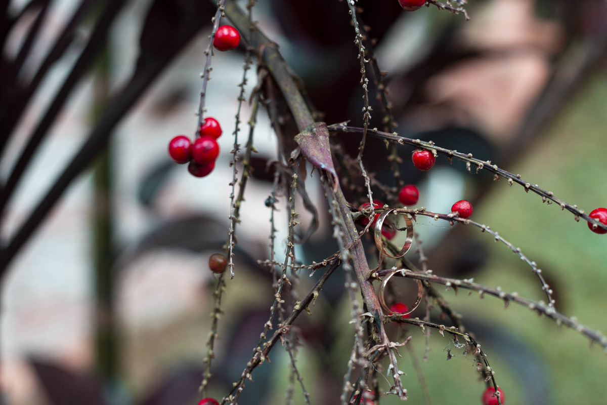 alianças de casamento, fotografo de casamento, fotografo em suzano