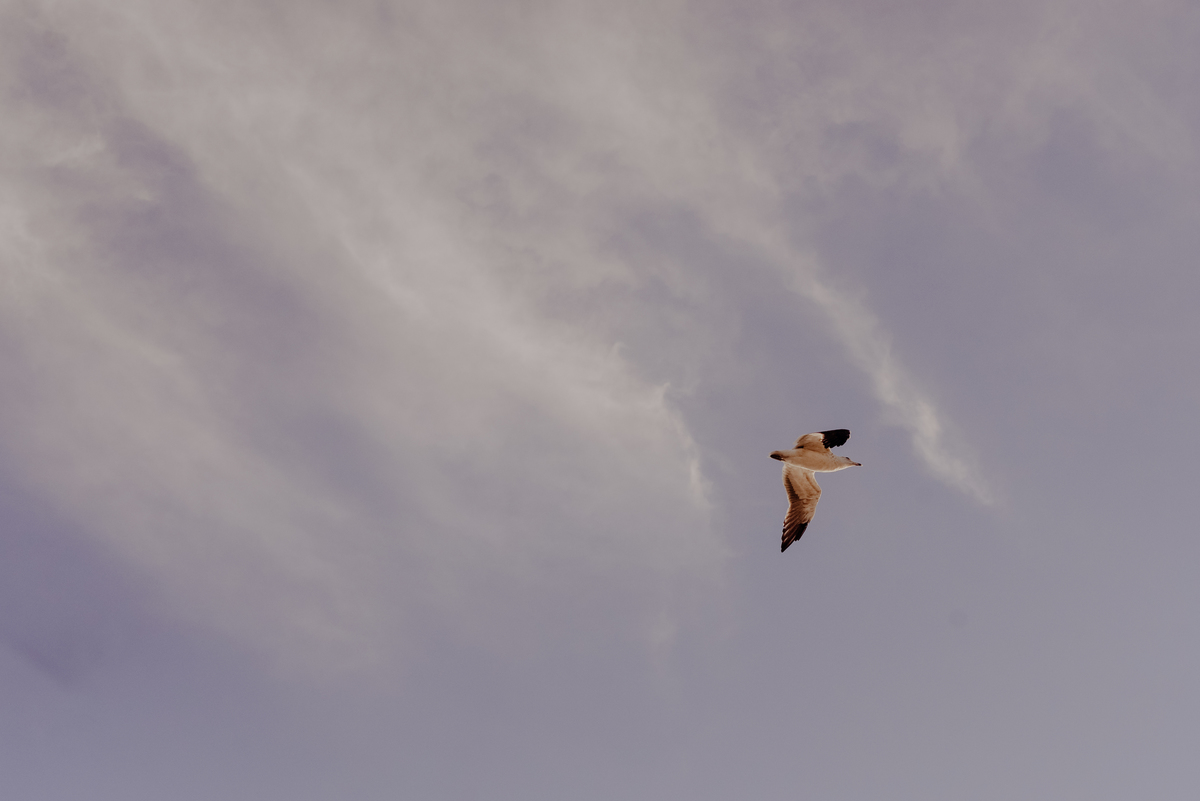 ensaio-praia-do-pontal-arraial