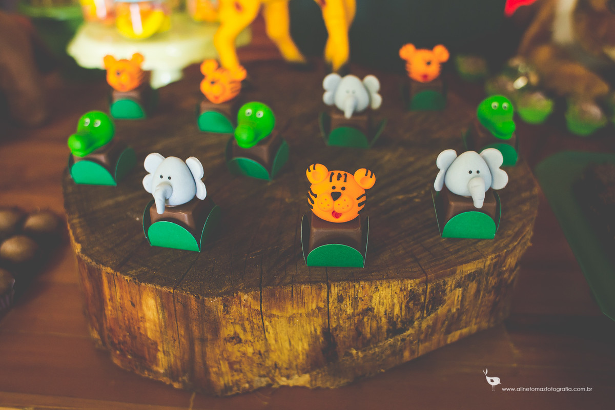 Making Off da criança, Aniversário Infantil, Nil Festas, LAvras - MG, Felipe 2 anos, Aline Tomaz Fotografia