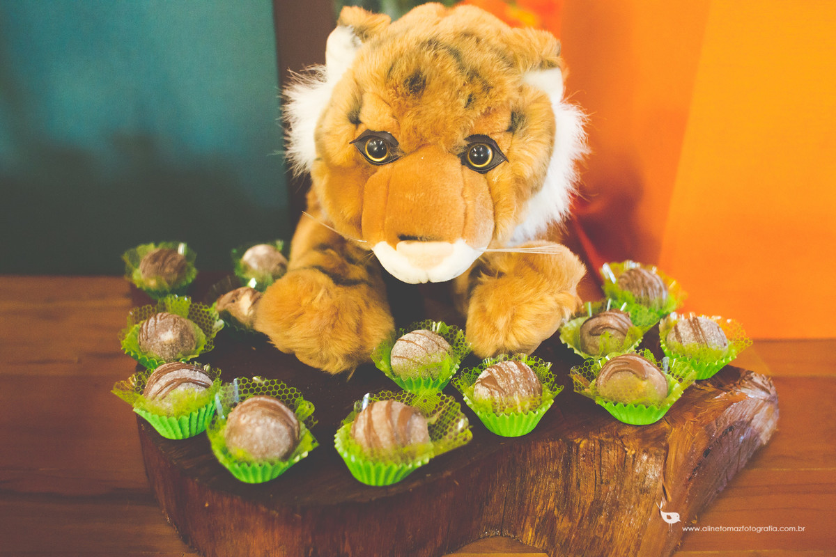 Making Off da criança, Aniversário Infantil, Nil Festas, LAvras - MG, Felipe 2 anos, Aline Tomaz Fotografia