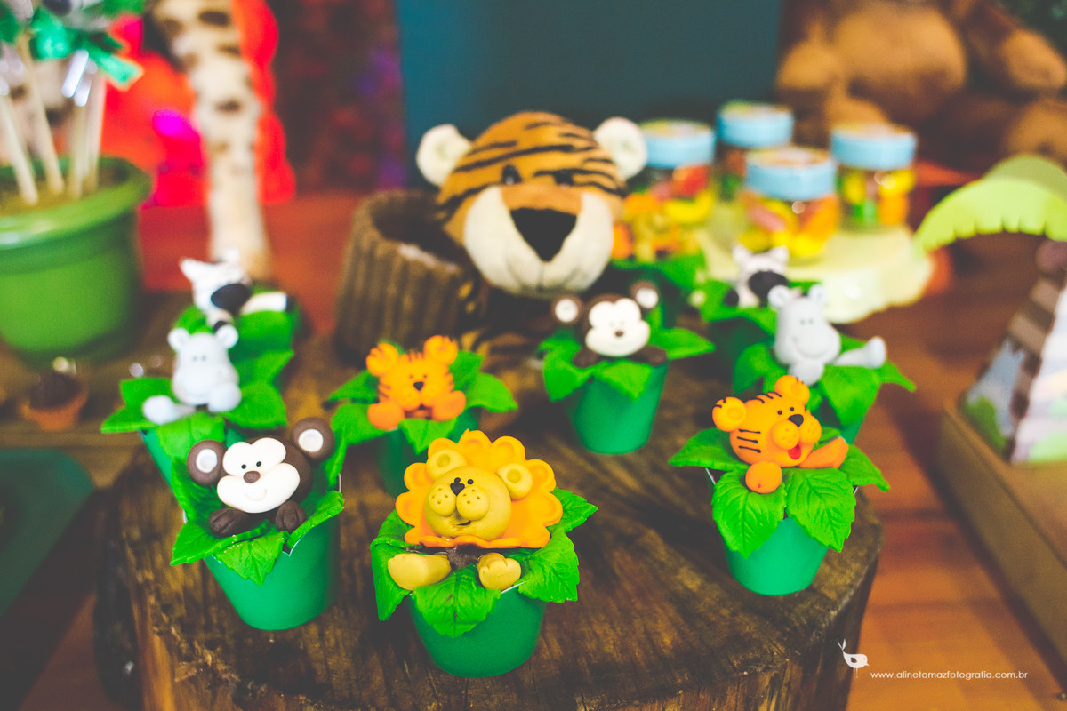 Making Off da criança, Aniversário Infantil, Nil Festas, LAvras - MG, Felipe 2 anos, Aline Tomaz Fotografia