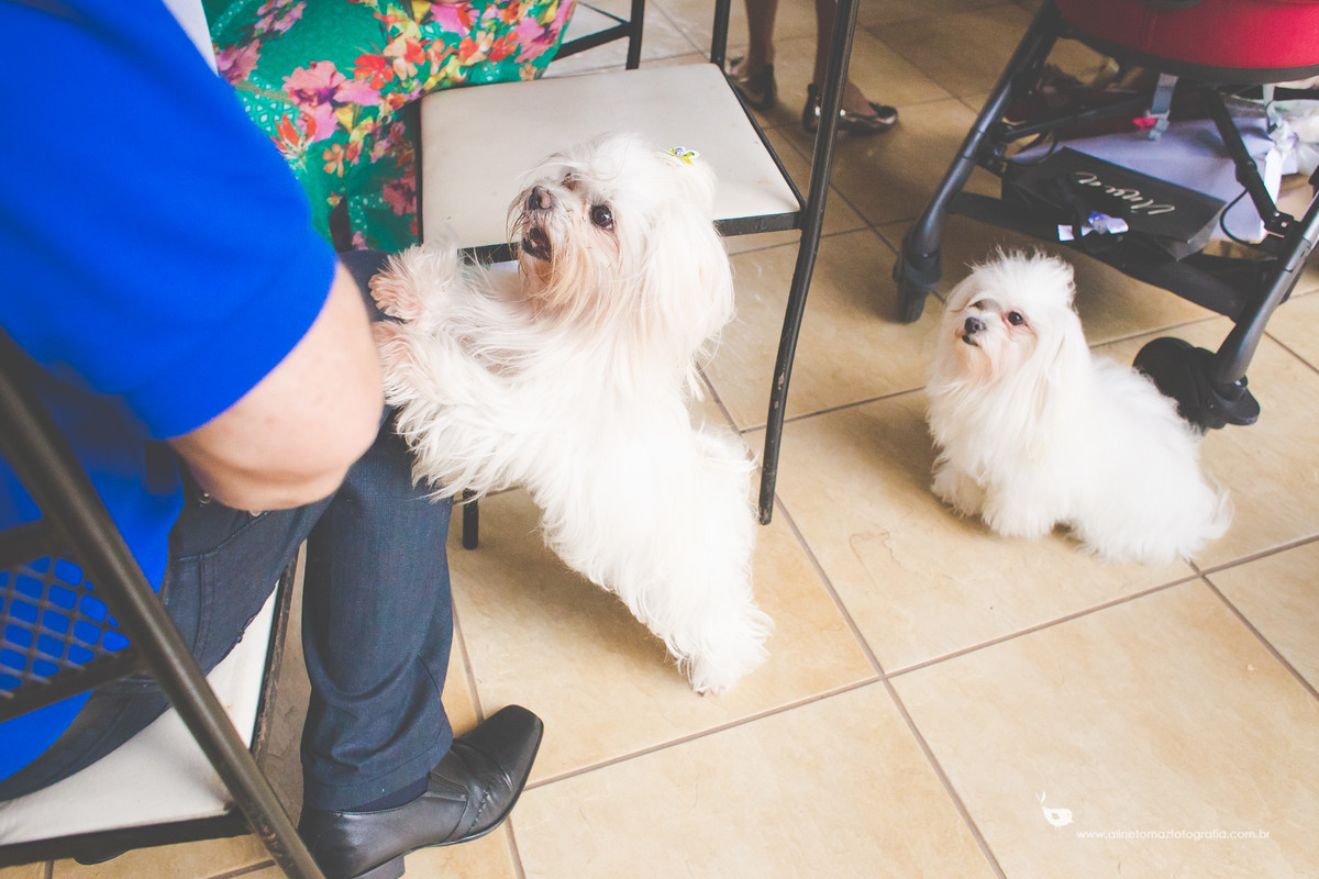 Batizado Valentina.8 Batalhão de Polícia Militar - Lavras - MG Aline Tomaz Fotografia.
