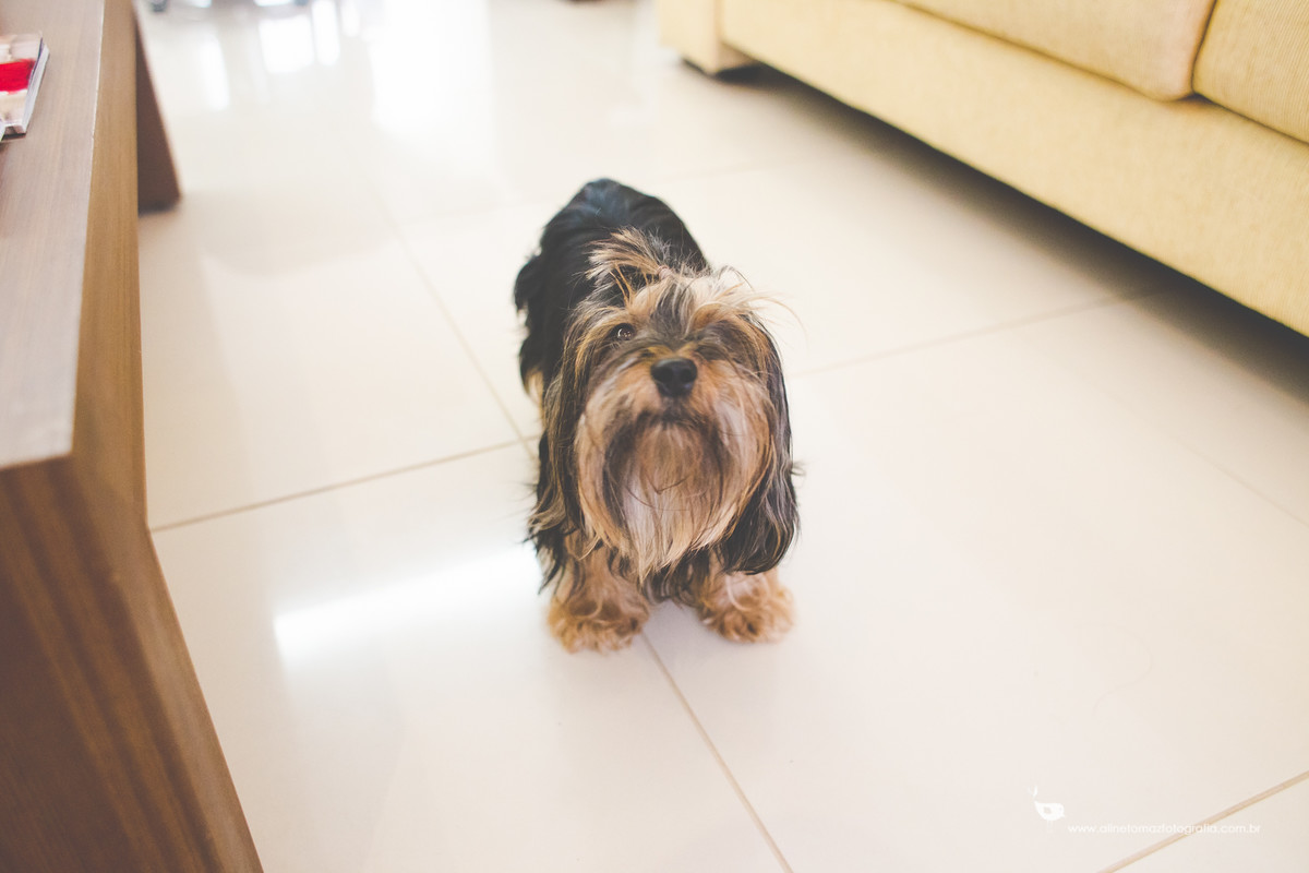 Liliene Make Up e Carlos, Bodas 25 anos casamento, Matriz de Santana, Lavras - MG, Aline Tomaz Fotografia.
