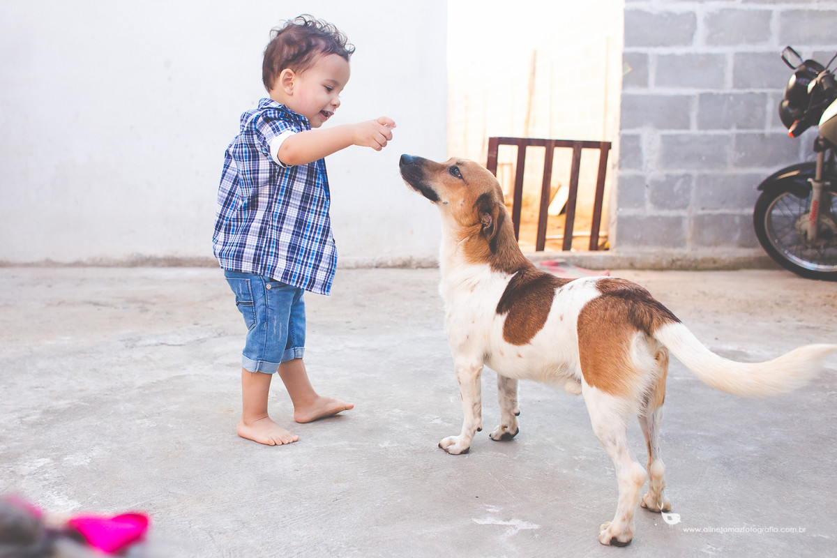 Marcelo Alves e Lidiane. Ensaio família. Ribeirão Vermelho - MG, Aline Tomaz Fotografia.