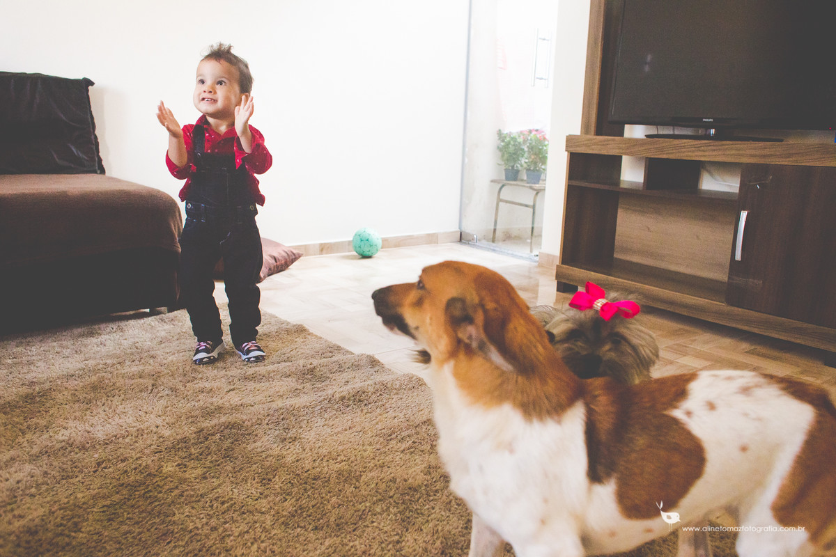 Marcelo Alves e Lidiane. Ensaio família. Ribeirão Vermelho - MG, Aline Tomaz Fotografia.