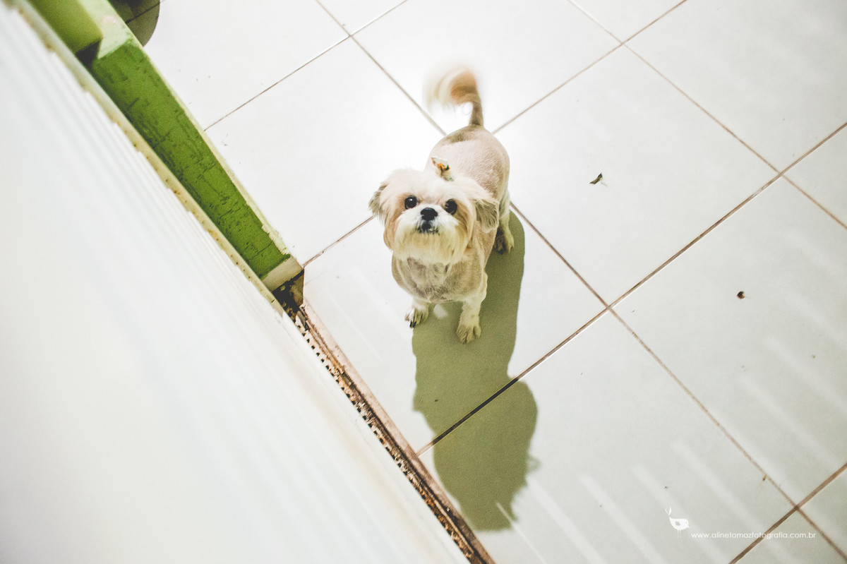 Making Off da criança. Aniversário infantil.Be Happy.Lavras MG, Aline Tomaz Fotografia