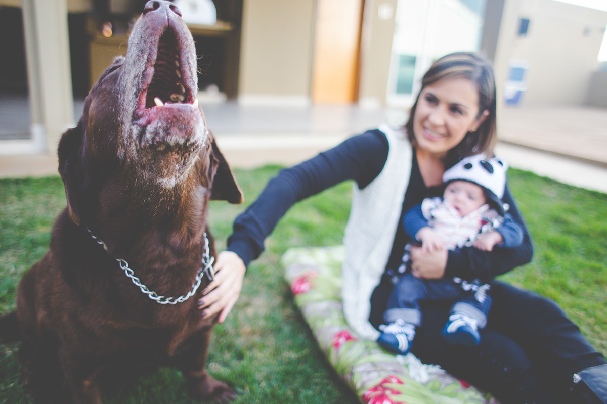 Acompanhamento do bebê, Davi, Aline Tomaz Fotografia, lavras -MG