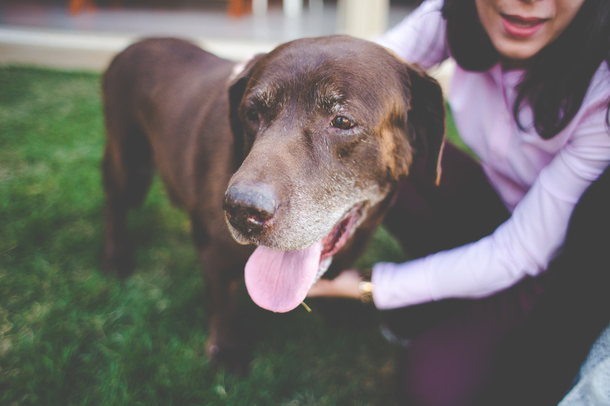 Acompanhamento do bebê, Davi, Aline Tomaz Fotografia, lavras -MG