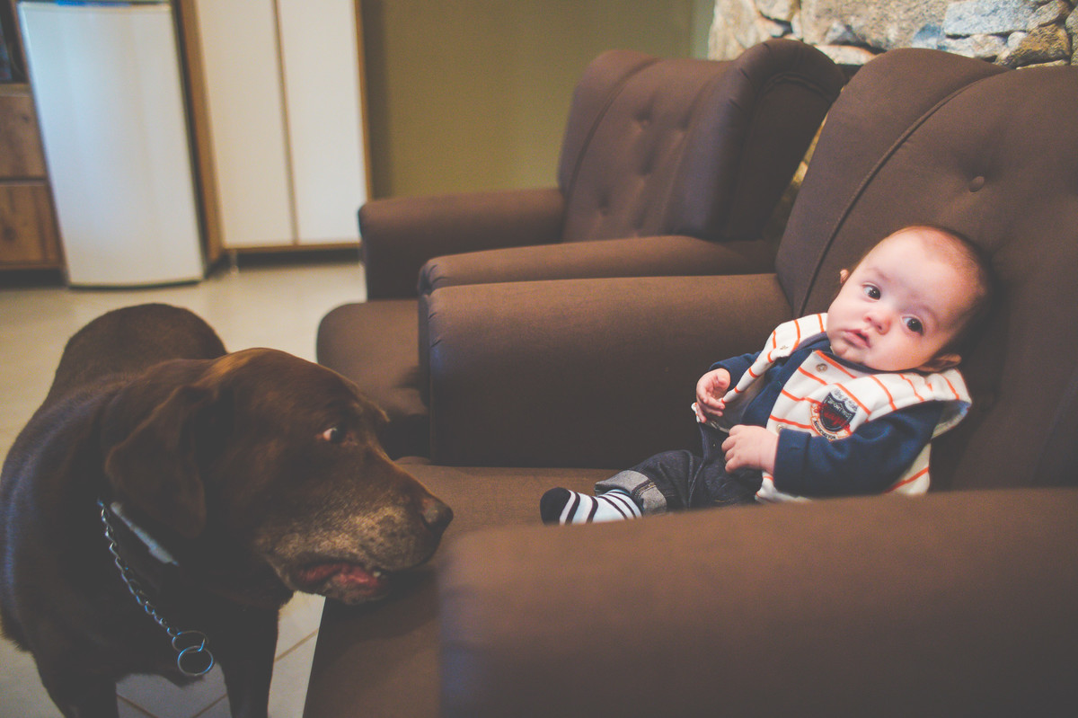 Acompanhamento do bebê, Davi, Aline Tomaz Fotografia, lavras -MG